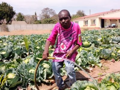 L'Arche Zimbabwe Horticulture