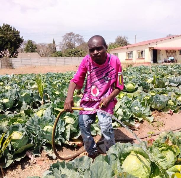 L'Arche Zimbabwe Horticulture