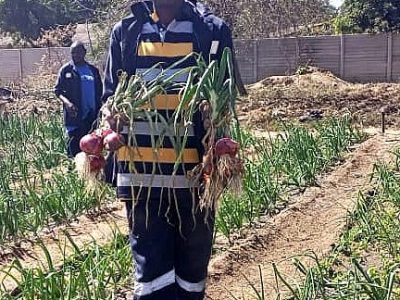 L'Arche Zimbabwe Horticulture