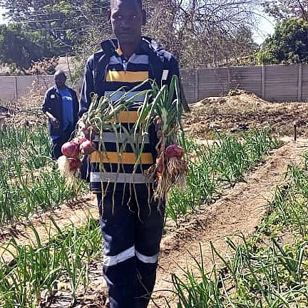 L'Arche Zimbabwe Horticulture