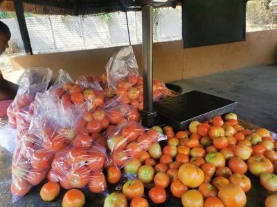 L'Arche Zimbabwe Horticulture